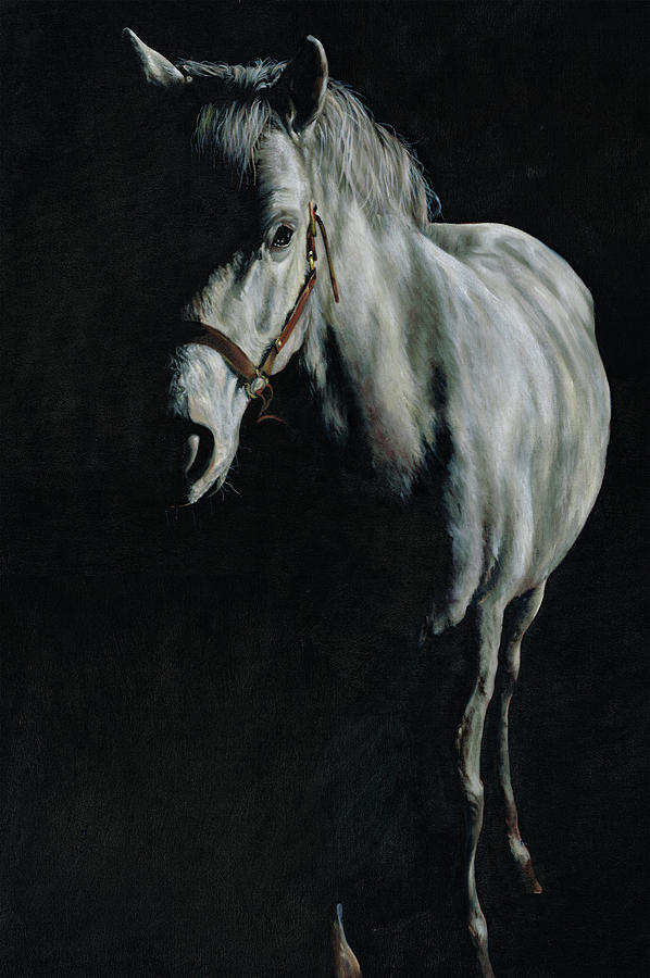 Caravaggio Painting - A Study of a Pony in the Shadows by Richard Mountford