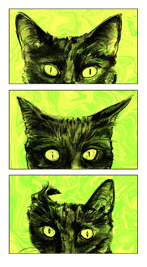 A study of Cat Ears Digital Art by Katherine Nutt