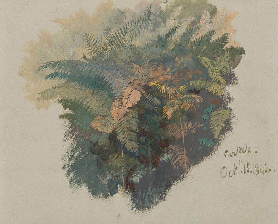 A Study of Ferns, Civitella Painting by Edward Lear