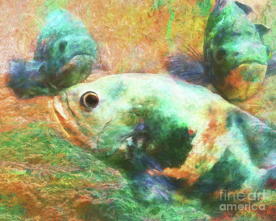A Study of Fishys Digital Art by Davy Cheng