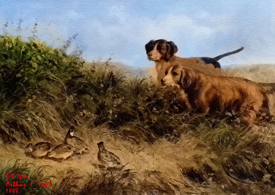 Dog Digital Art - A Sudden Surprising Discovery After And Inspired By Arthur  Fitzwilliam Tait s - To The Point . by Gert J Rheeders