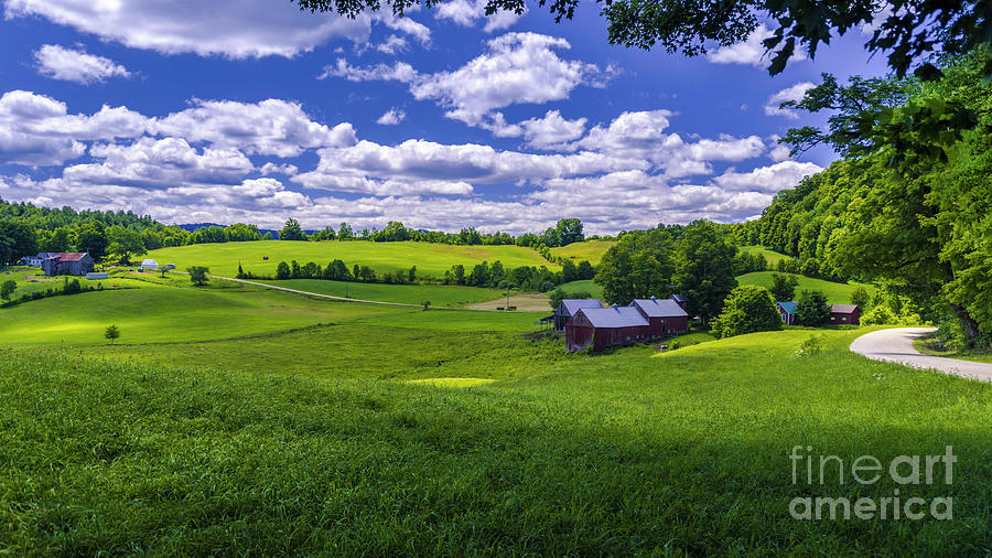 A Summer day at the Jenne Farm Photograph by Scenic Vermont Photography