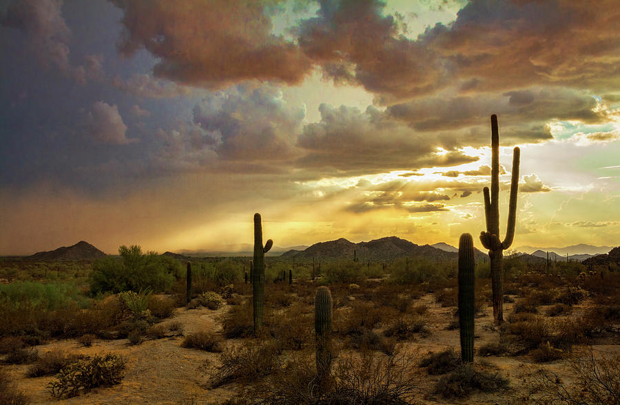 Sunset Photograph - A Summer Evening in the Sonoran  by Saija Lehtonen