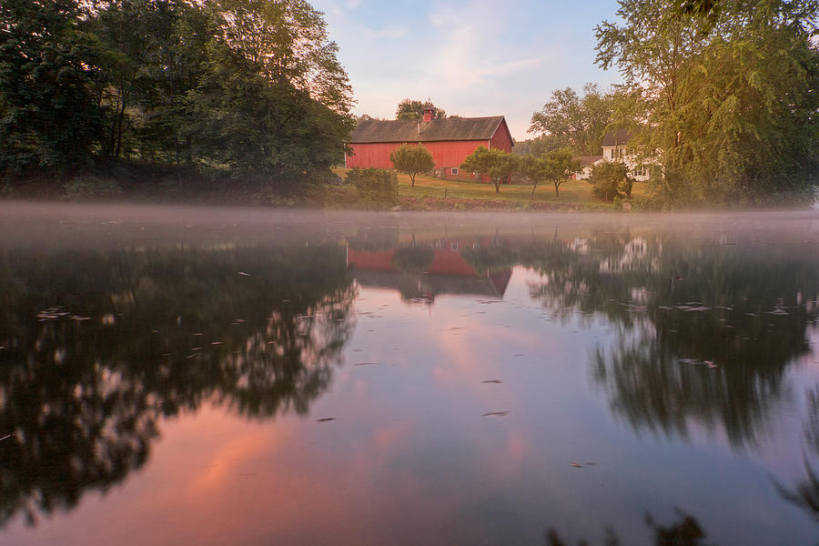 A Summer Morning Photograph by Bill Wakeley
