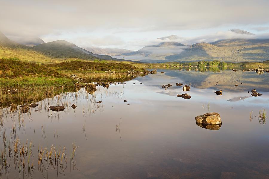 A Summers morning on Rannoch Moor Photograph by Stephen Taylor
