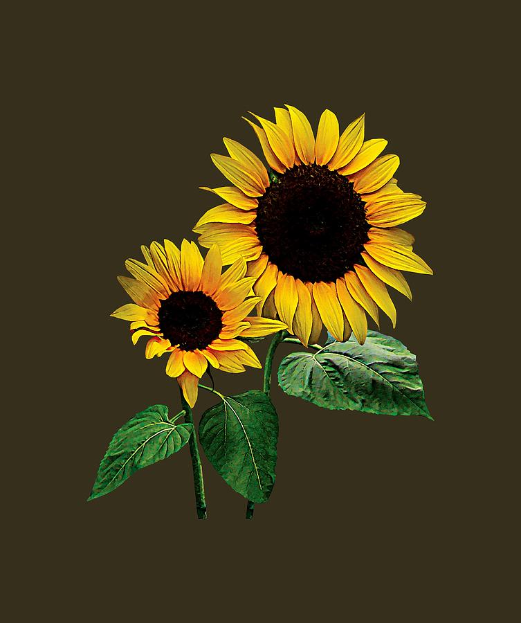 Sunflower Photograph - A Sunflower Mommys by Susan Savad