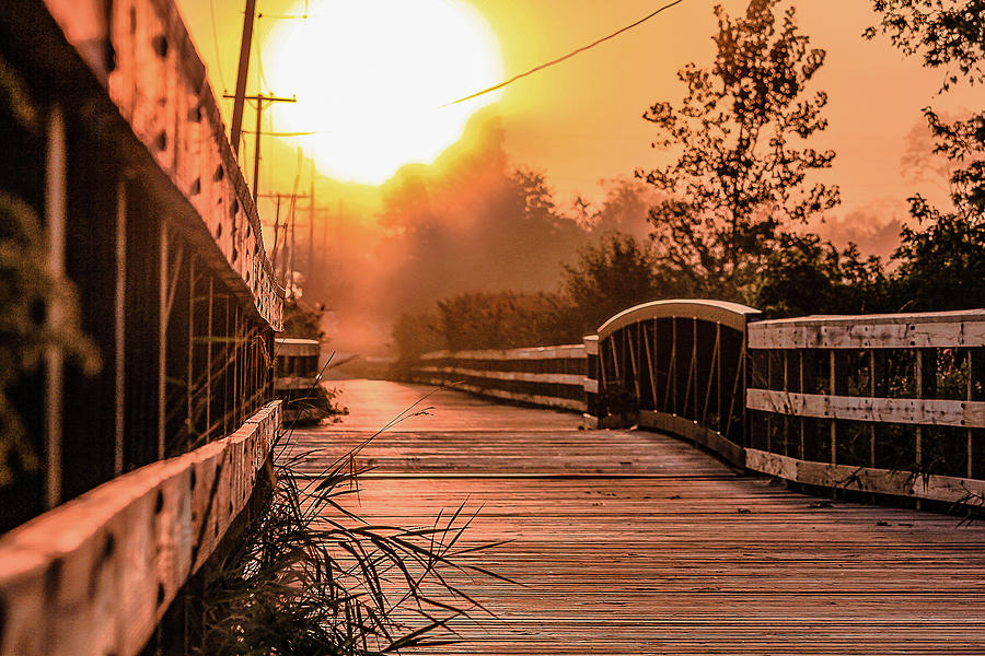 Background Photograph - A sunrise view from a park footbridge by Maxwell Dziku Background Photograph - A sunrise view from a park footbridge by Maxwell Dziku