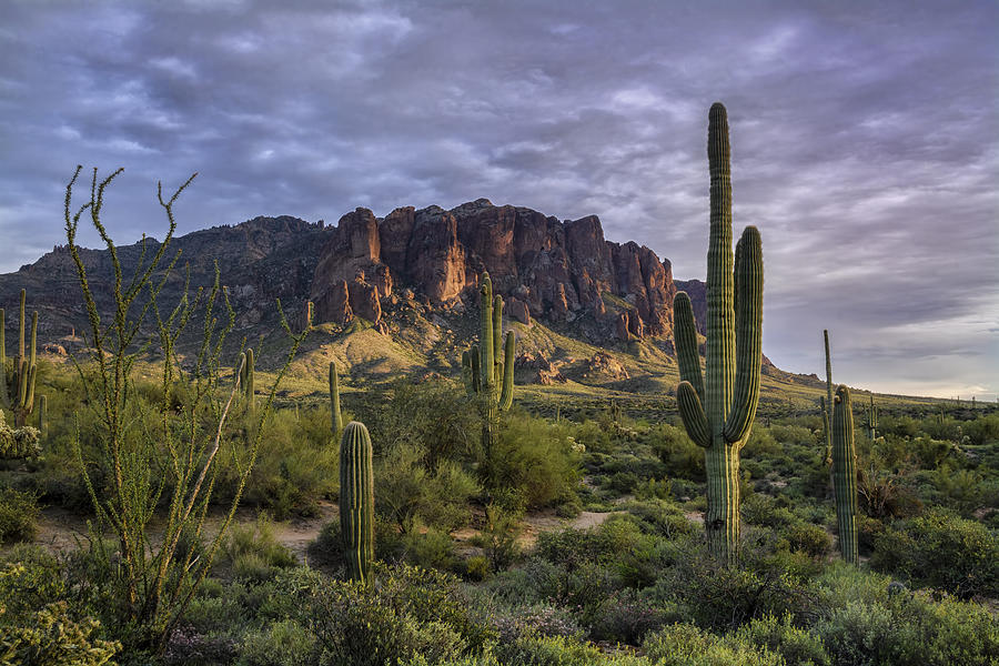 A Sunset Hike in the Superstitions  Photograph by Saija Lehtonen