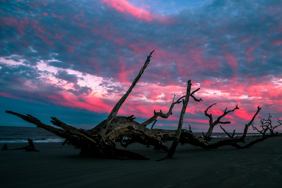 A Sunset On Jekyll Photograph by John Krivec