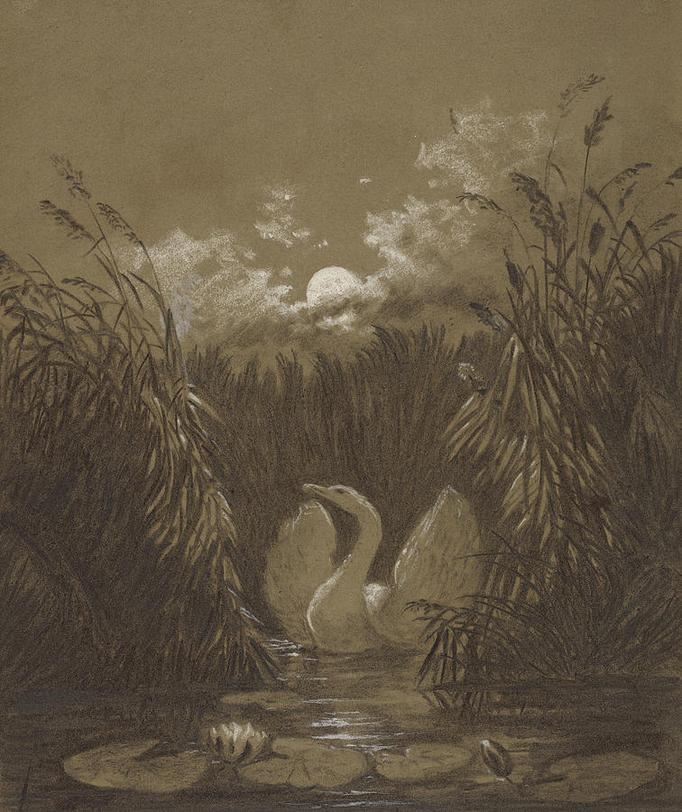 Animal Painting - A Swan Among the Reeds by Moonlight by Carl Gustav Carus