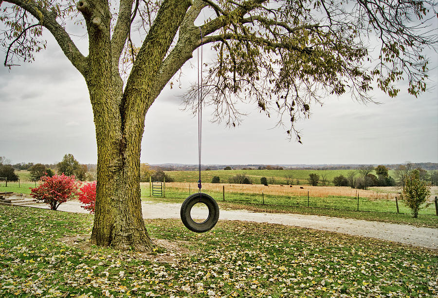 A Swing With a View Photograph by Cricket Hackmann