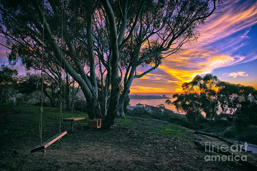 A Swinging Sunset from the Secret Swings of La Jolla Photograph by Sam Antonio