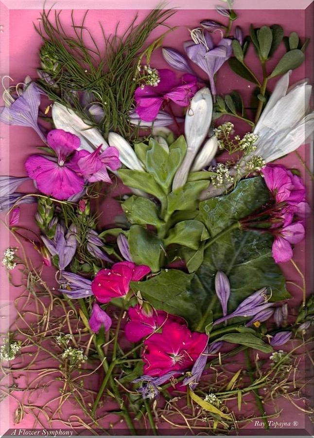 Flowers Digital Art - A Symphony of Flowers by Ray Tapajna Flowers Digital Art - A Symphony of Flowers by Ray Tapajna