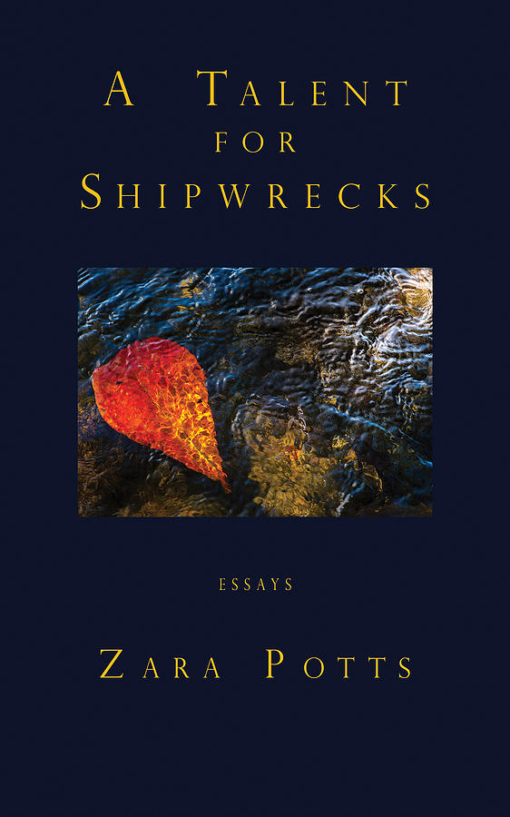 A Talent for Shipwrecks book cover Photograph by Don Mitchell