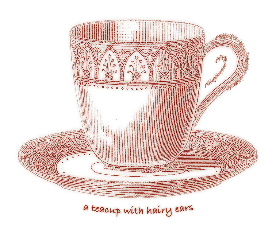 A Teacup With Hairy Ears Mixed Media by Frank Tschakert
