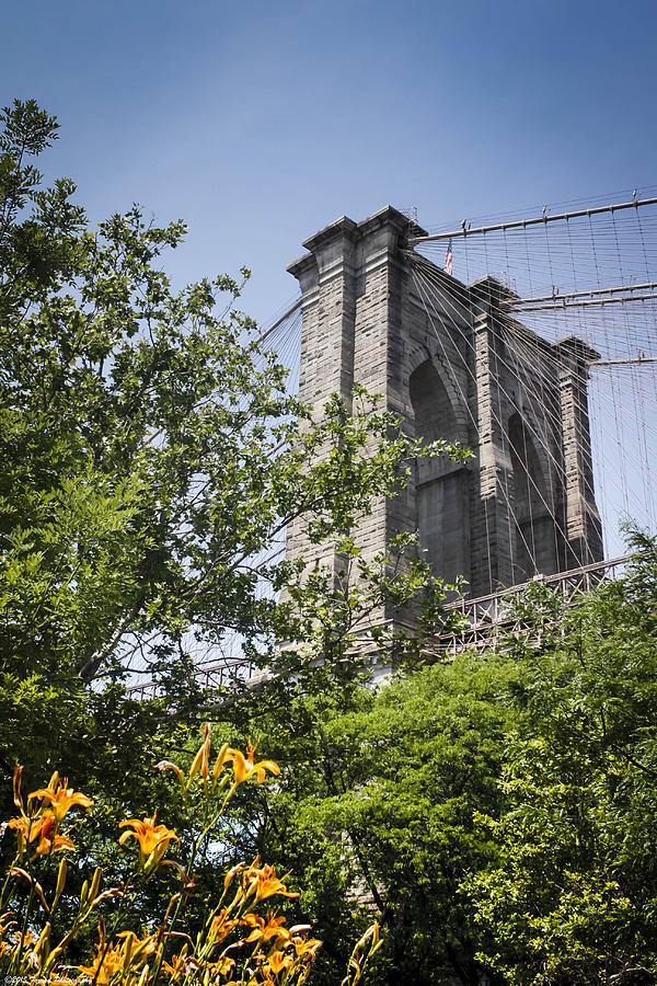 A Tease of The Brooklyn Bridge  Photograph by Debra Forand