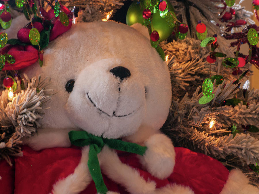 A Teddy Christmas Photograph by Stewart Helberg