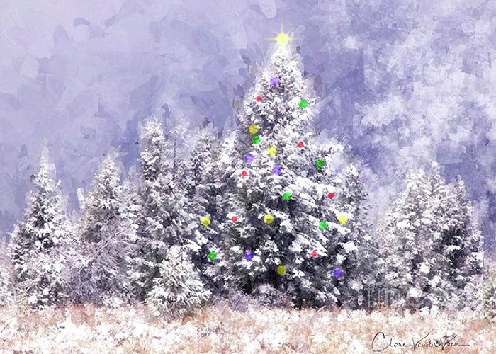 A Teton Christmas Photograph by Clare VanderVeen