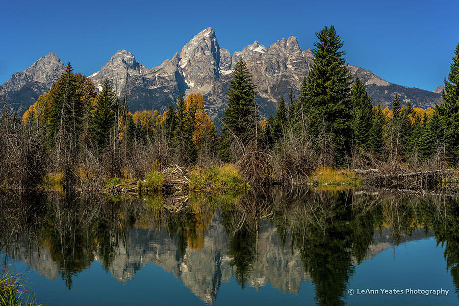 A Teton Morning In Autumn Photograph by Yeates Photography
