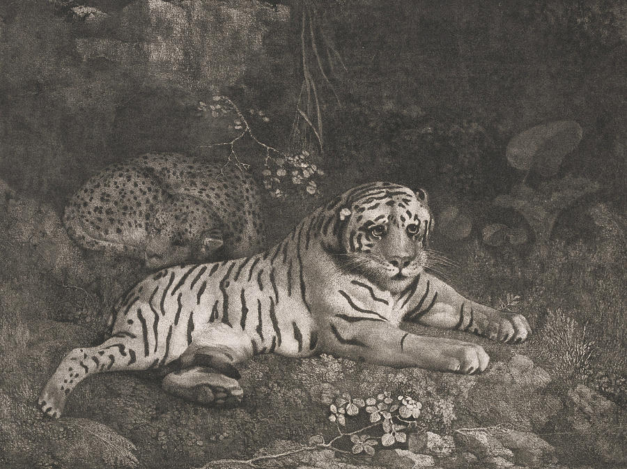 A Tiger and a Sleeping Leopard Relief by George Stubbs