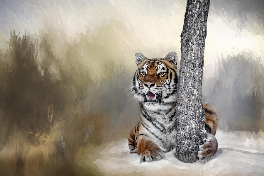 A Tiger and His Tree Photograph by Wes and Dotty Weber