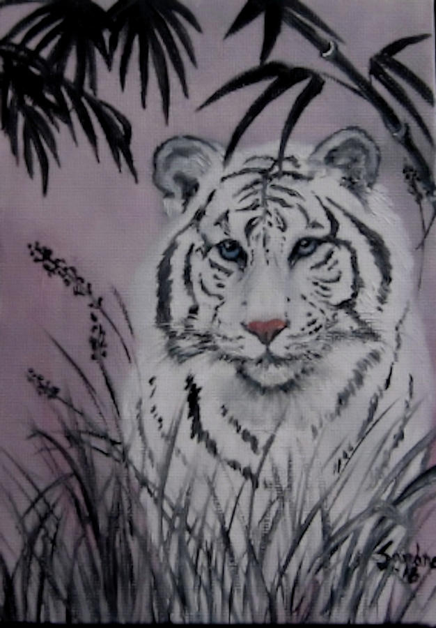 A Tiger in the Jungle by Sandra Maddox A Tiger in the Jungle by Sandra Maddox