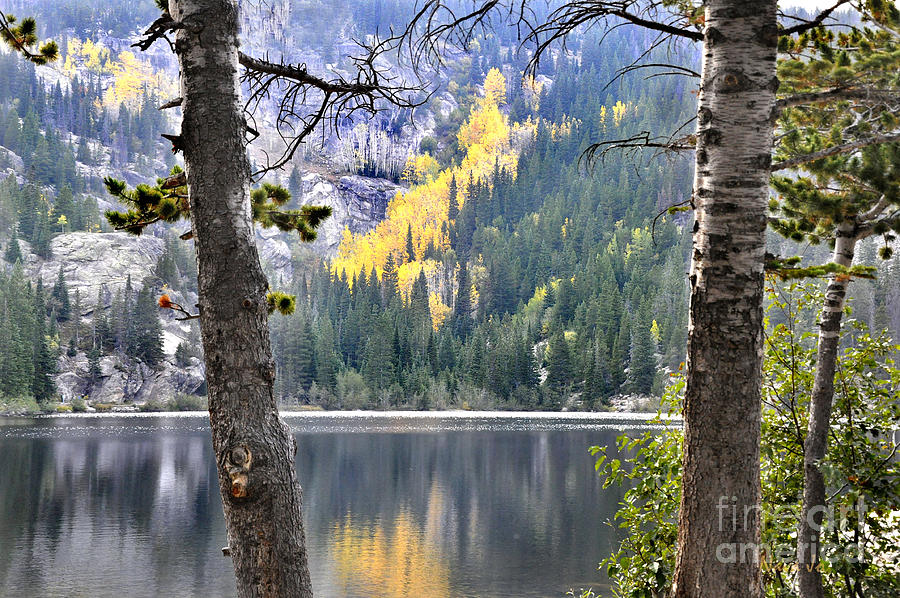 Rocky Mountain National Park Photograph - A Time for Reflection by Nava Thompson