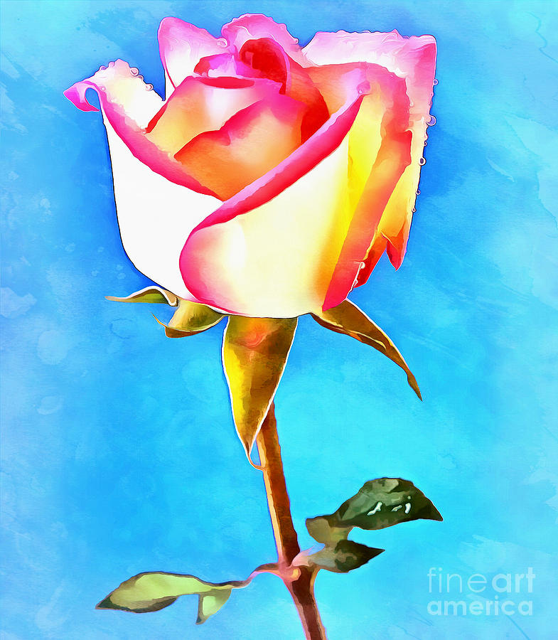 Rose Photograph - A Time To Grow by Krissy Katsimbras