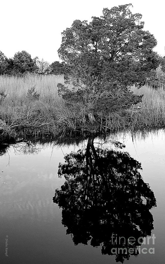 A Time To Reflect - Black and White Photograph by Shelia Kempf