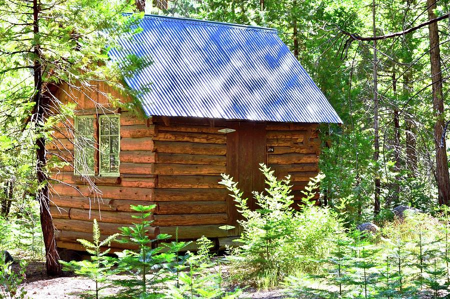 A Tiny Log Cabin in the Woods Photograph by Kirsten Giving