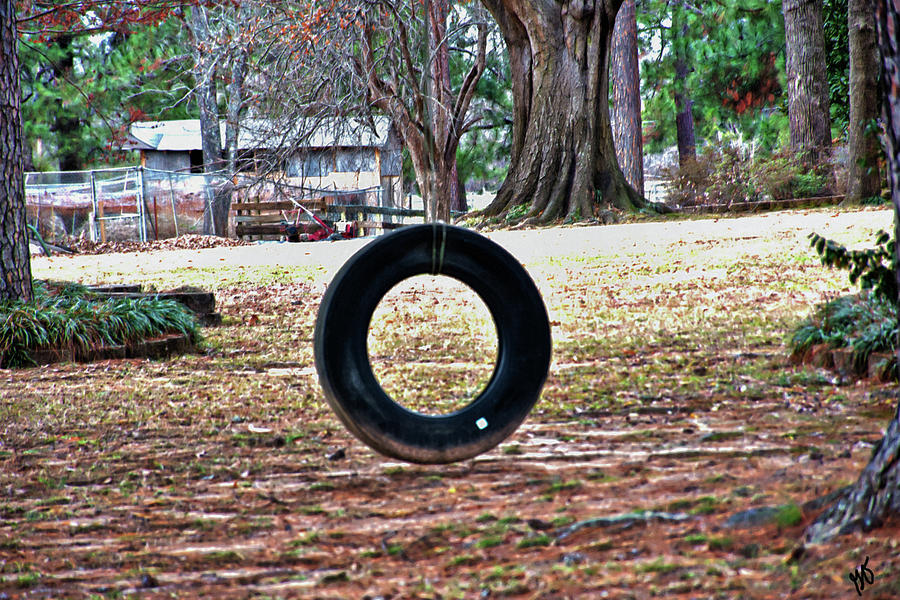 Tire Swing Photograph - A Tire Swing by Gina OBrien