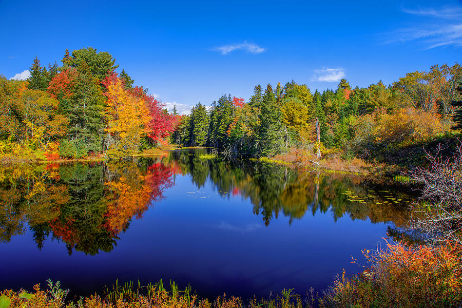 A Touch of Fall Photograph by Tom Weisbrook