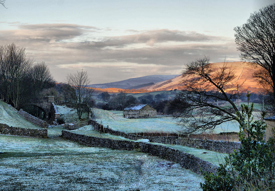 A Touch Of Frost In Swaledale Photograph by Sandra Cockayne ADPS