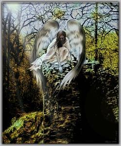 A Touch Of Heaven Digital Art by Sharon Hendrickson A Touch Of Heaven Digital Art by Sharon Hendrickson