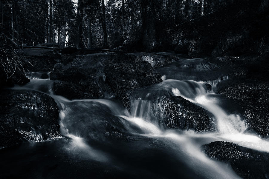 A Touch of Light - monochrome version Photograph by Andreas Levi