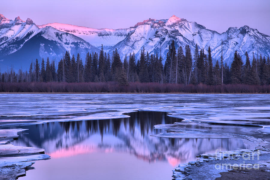 A Touch Of Pink In Vermilion Lakes Photograph by Adam Jewell