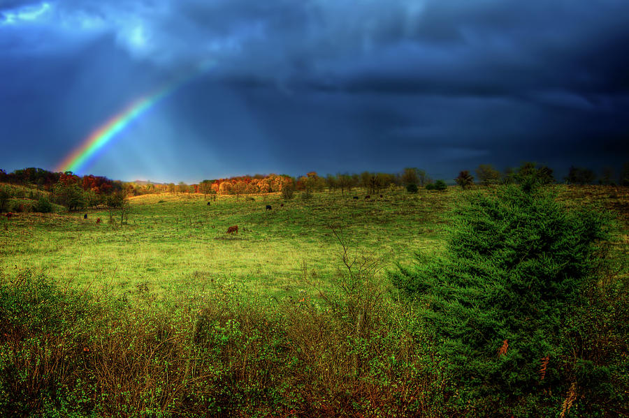 A Touch of Rainbow Photograph by Mark Andrew Thomas