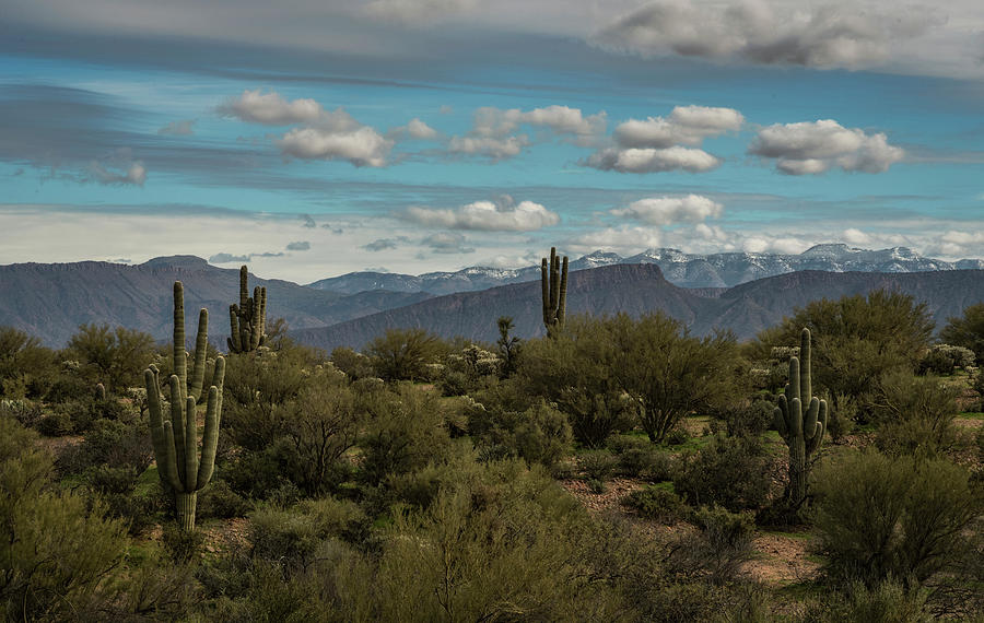 A Touch of Winter in Arizona  Photograph by Saija Lehtonen