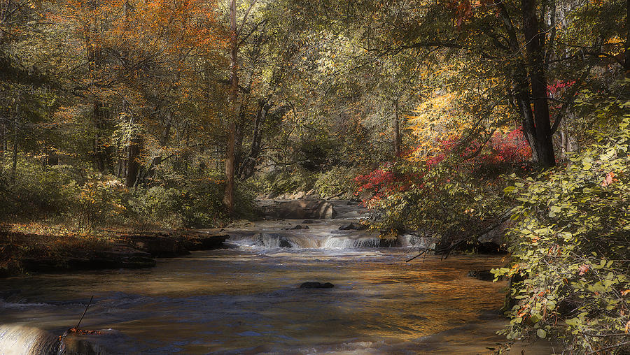 Fall Photograph - A Transcendental Autumn by Fred Wolfe
