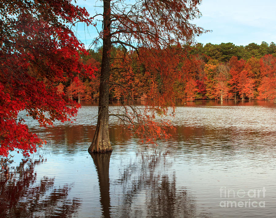 October Color Photograph by Robert Pilkington