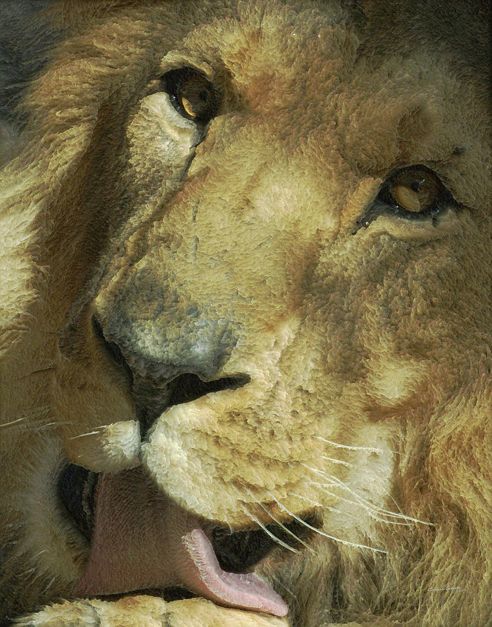 Lion Photograph - A Tribute to Elson 3 by Ernest Echols