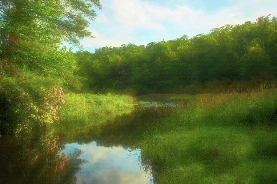 A Tribute to my Mother by John Kimball A Tribute to my Mother by John Kimball