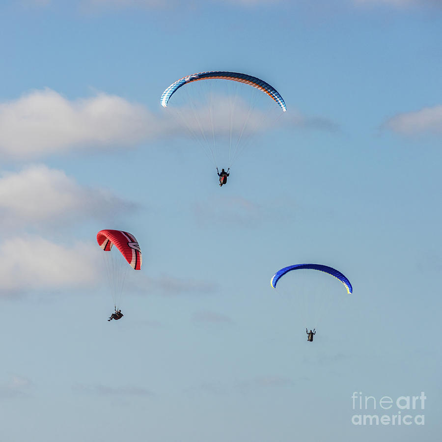 A Trio of Paragliders at Torrey Pines Gliderport Photograph by David Levin