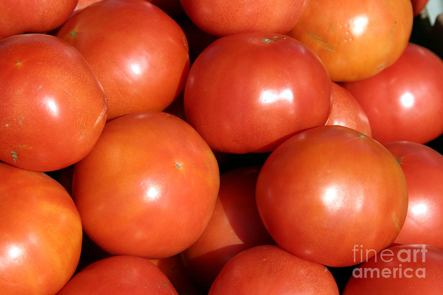 A Trip Through A Farmers Market Featuring Tomatoes Photograph