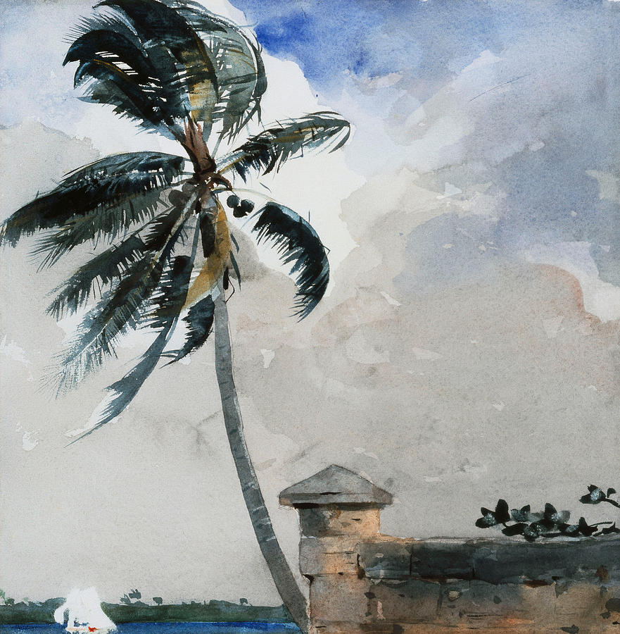Winslow Homer Painting - A Tropical Breeze by Winslow Homer