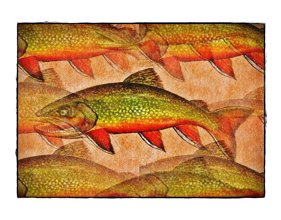 Fish Digital Art - A Trout Lovers Dream by Terry Mulligan