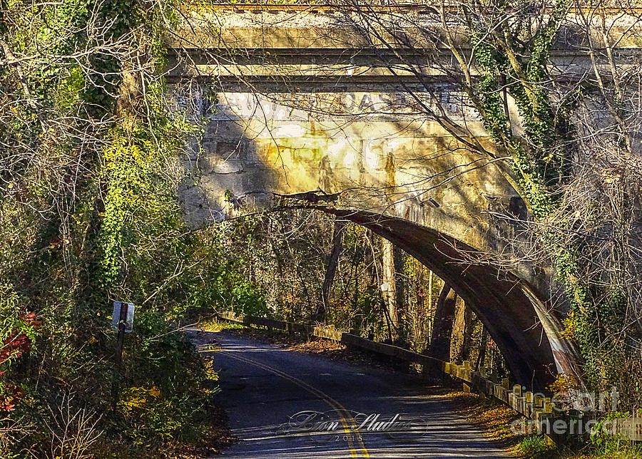 A Tunnel By The River Photograph by Melissa Messick