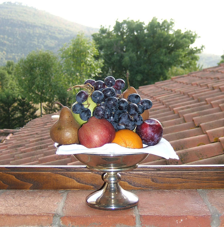 A Tuscan Welcome Photograph by Nancy St Clair