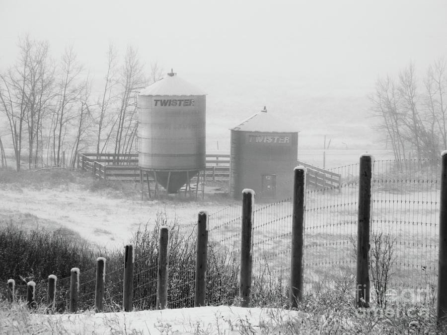 A Twisters Winter Fog Photograph by Jor Cop Images