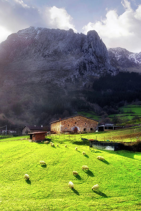 A typical basque country farmhouse with sheep Photograph by Mikel Martinez de Osaba